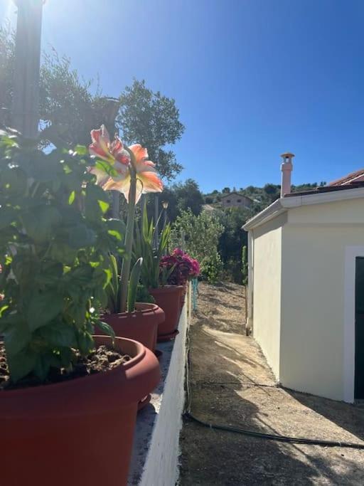 Appartamento Alex House Parga Esterno foto
