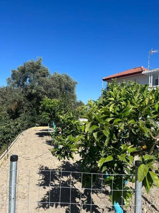 Appartamento Alex House Parga Esterno foto